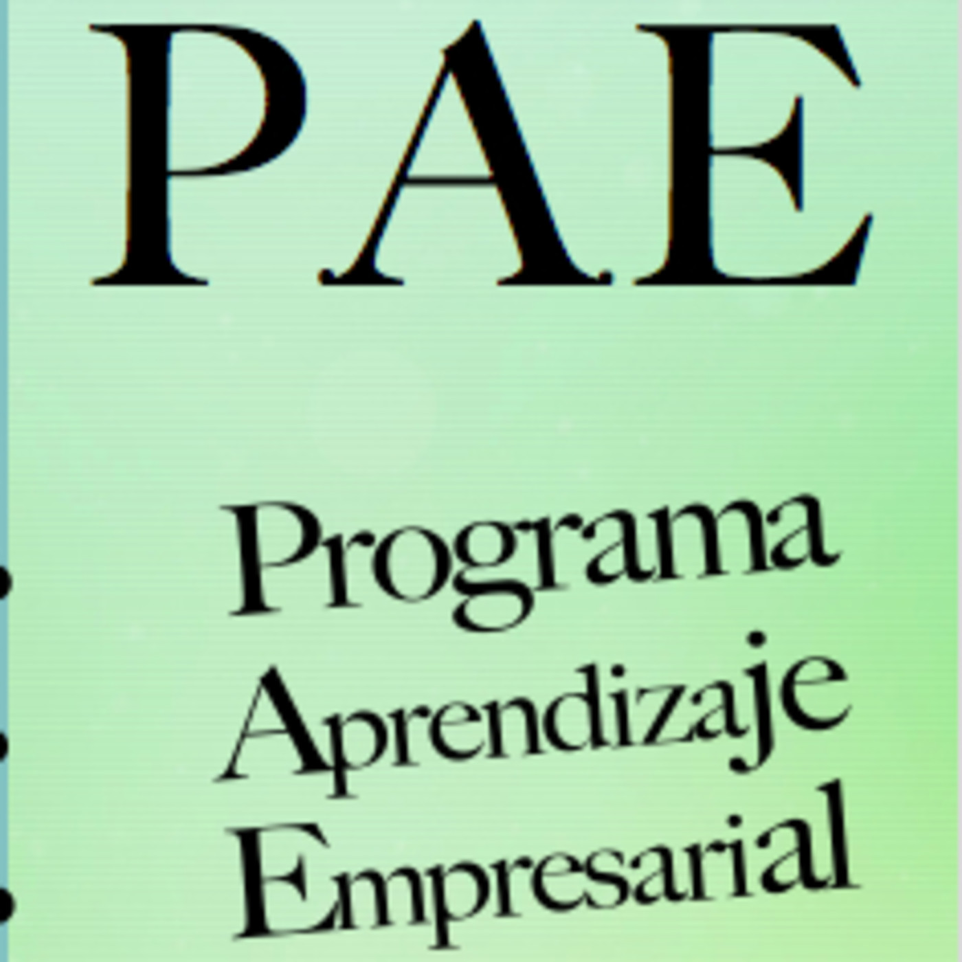 PROGRAMA DE APRENDIZAJE EMPRESARIAL - P.A.E