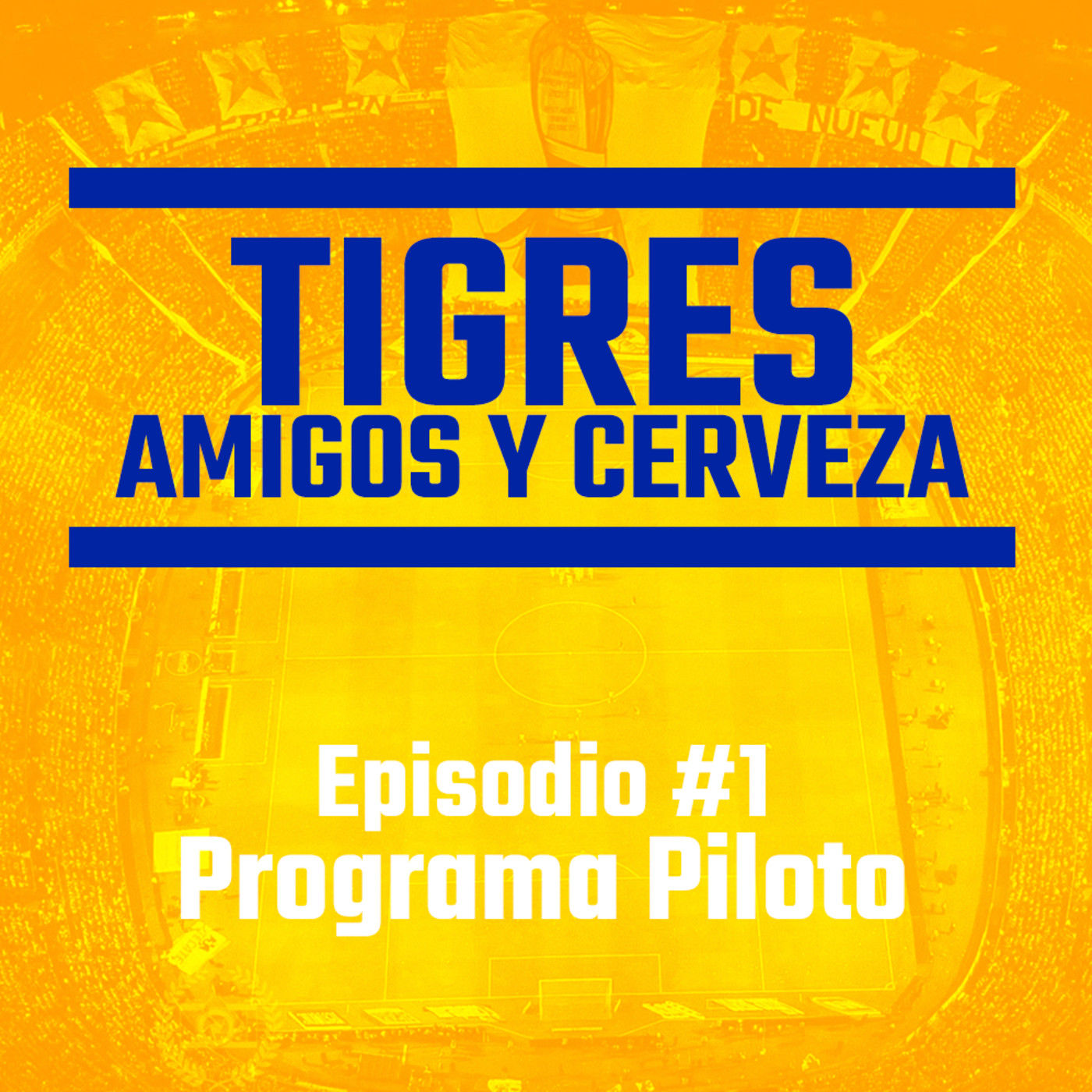 Tigres, Amigos y Cerveza