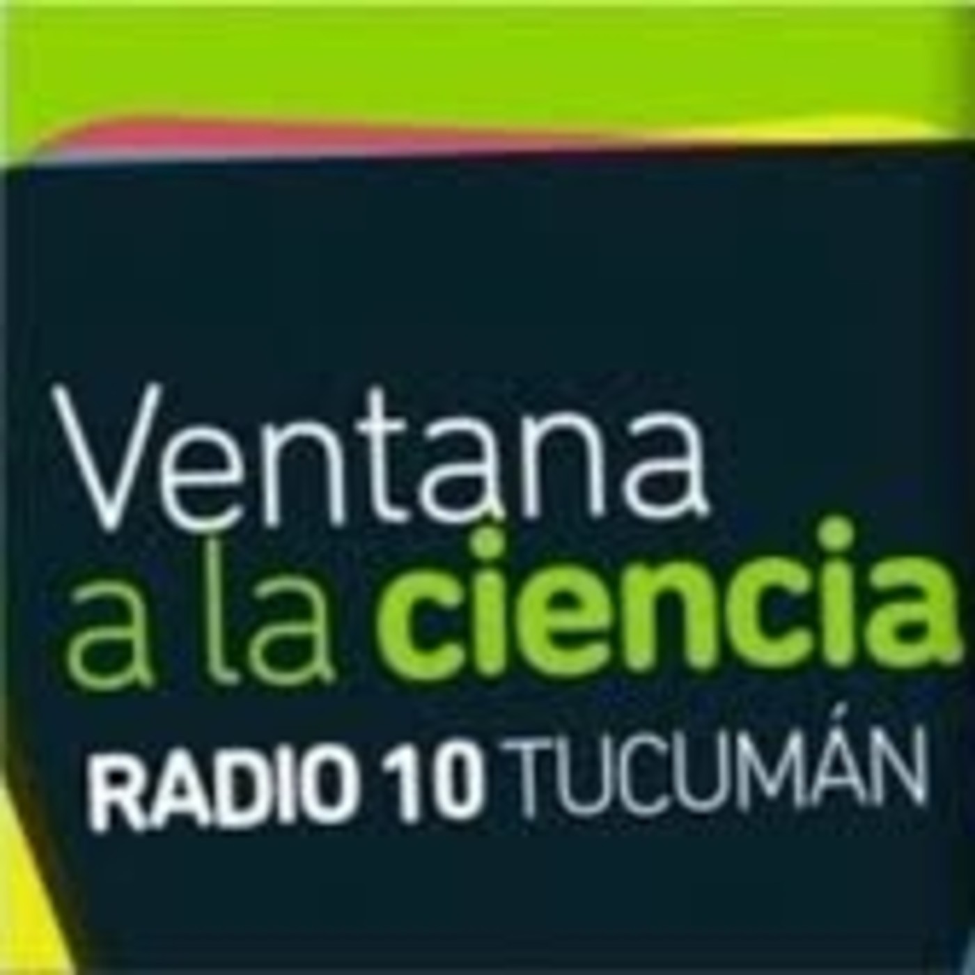 Entrevistas