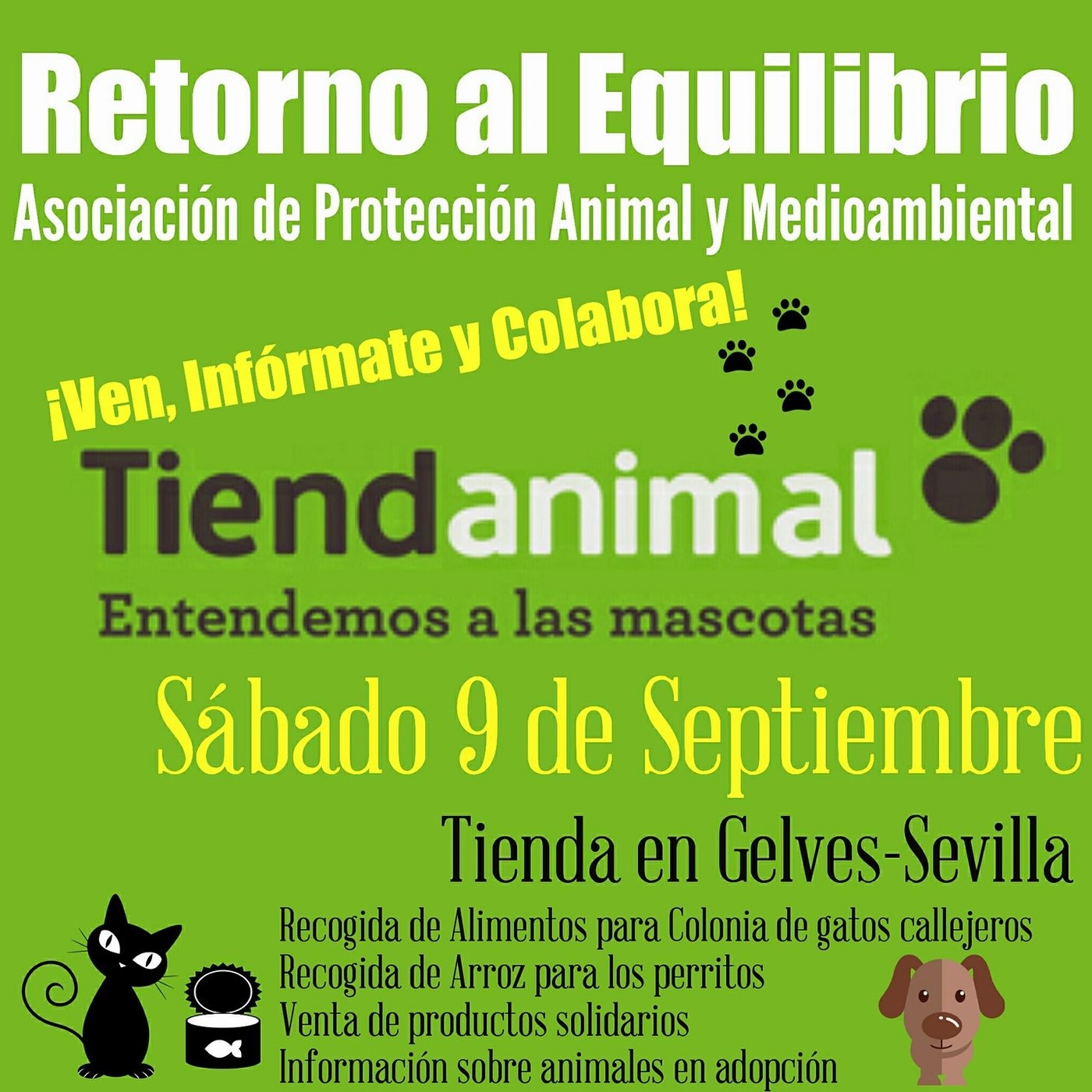 RETORNO AL EQUILIBRIO