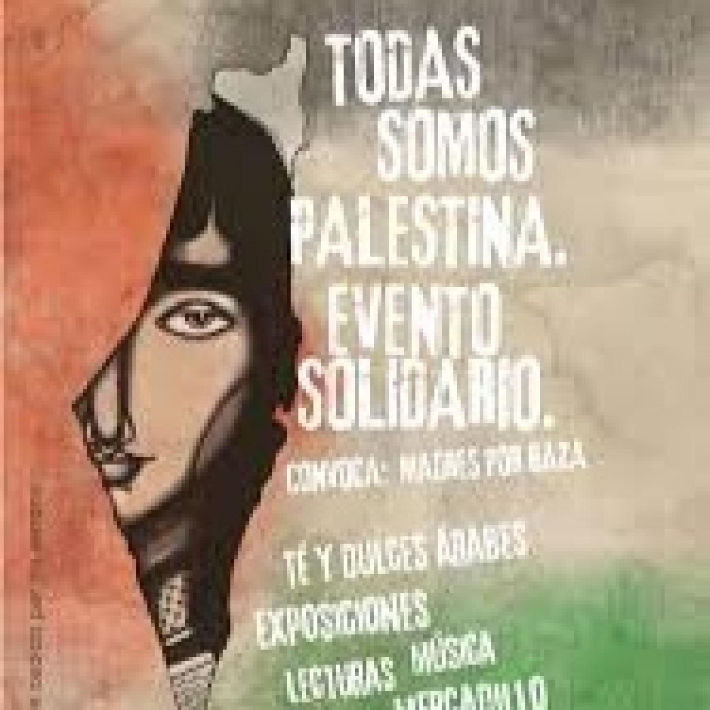 Nos habla Ana Macias, portavoz de ¨Madres por Gaza¨ con ¨Todos somos Palestina¨desde Chapineria episode artwork