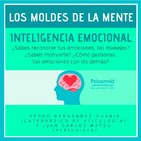 Inteligencia emocional. Los Moldes de la Mente