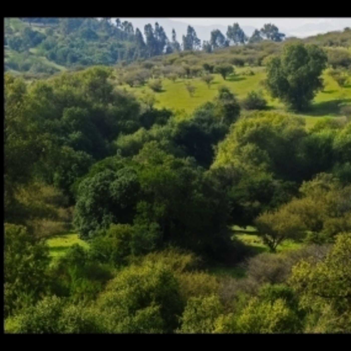 Centro de Experimentación Radi