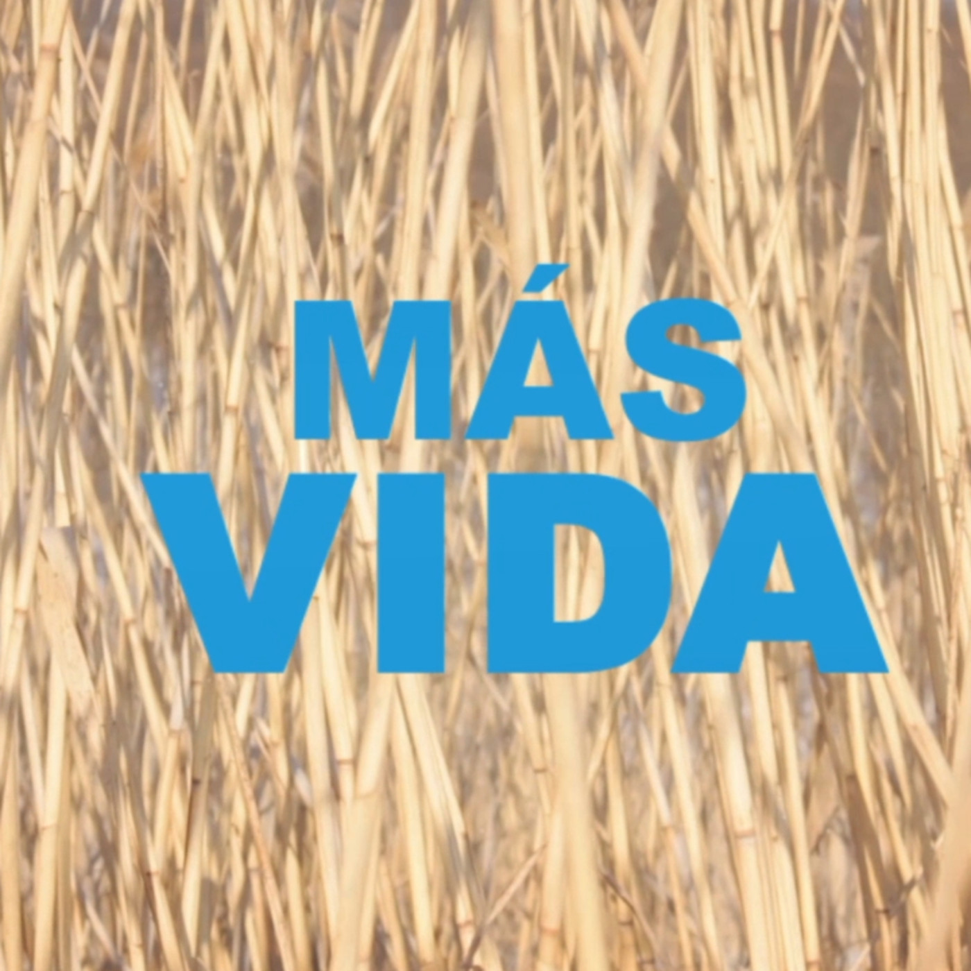MÁS VIDA