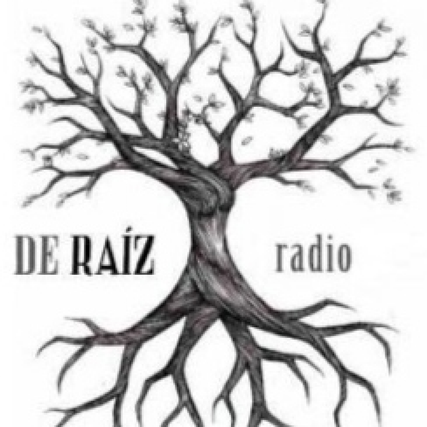 De Raíz Radio