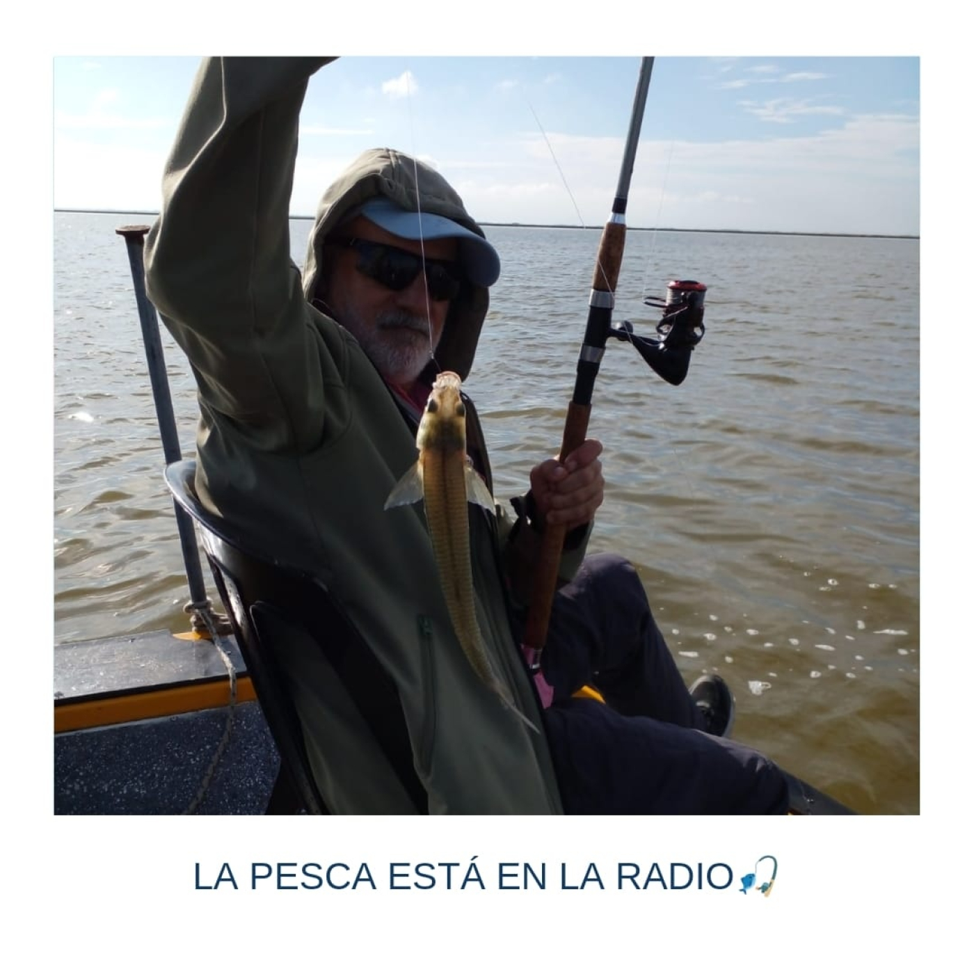 INFOPESCA MDQ