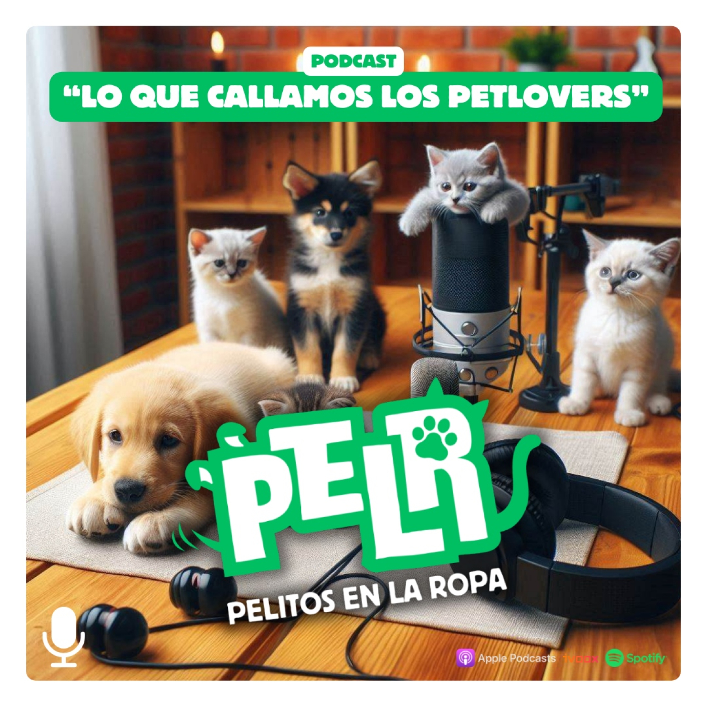 PELR: Pelitos en la Ropa