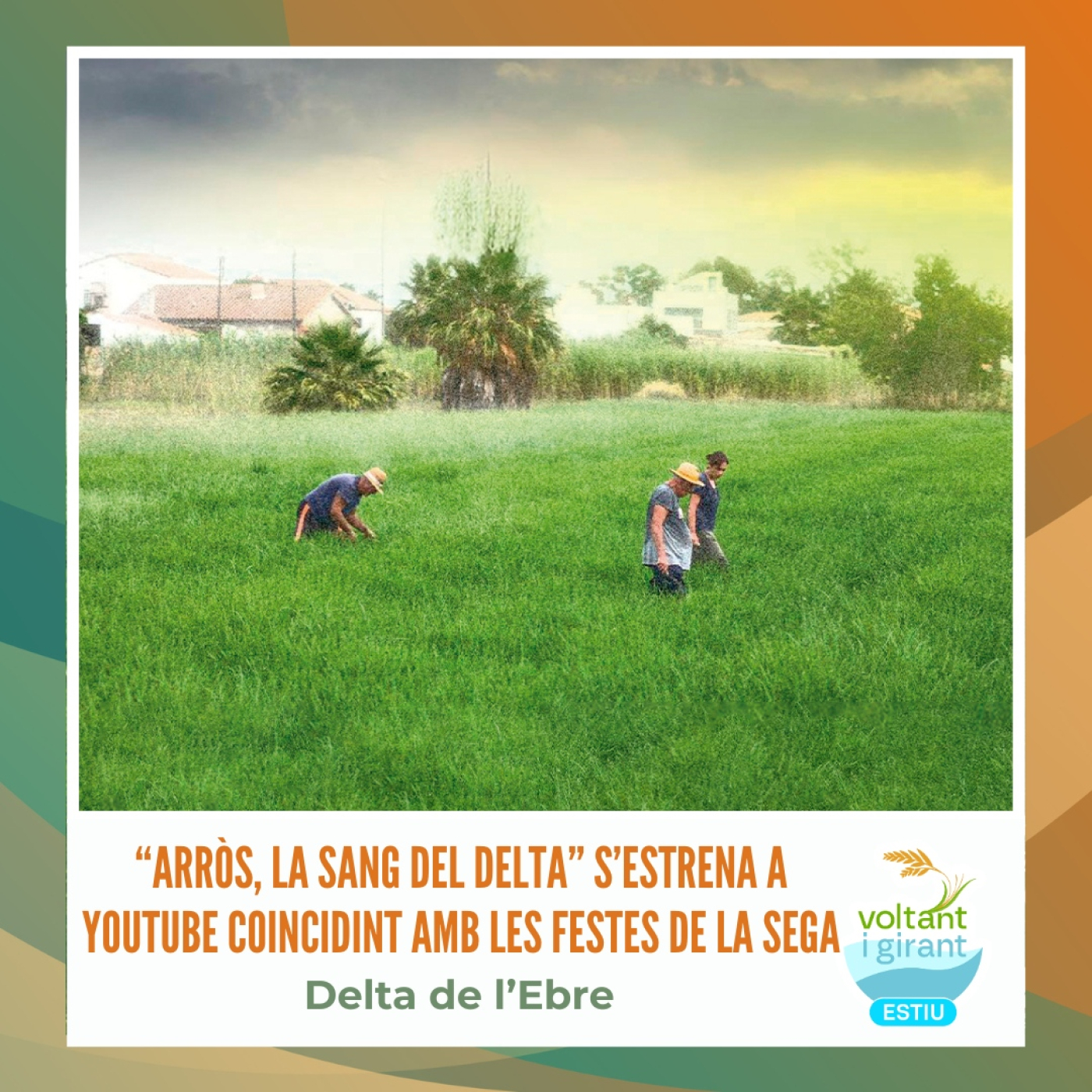 “Arròs, la sang del Delta” s’estrena a YouTube coincidint amb les festes de la sega episode artwork