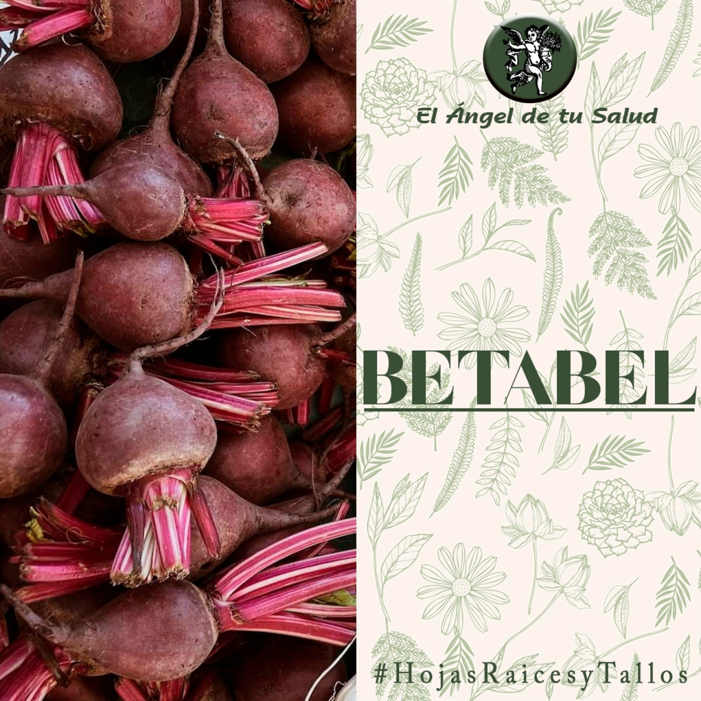 EL ÁNGEL DE TU SALUD