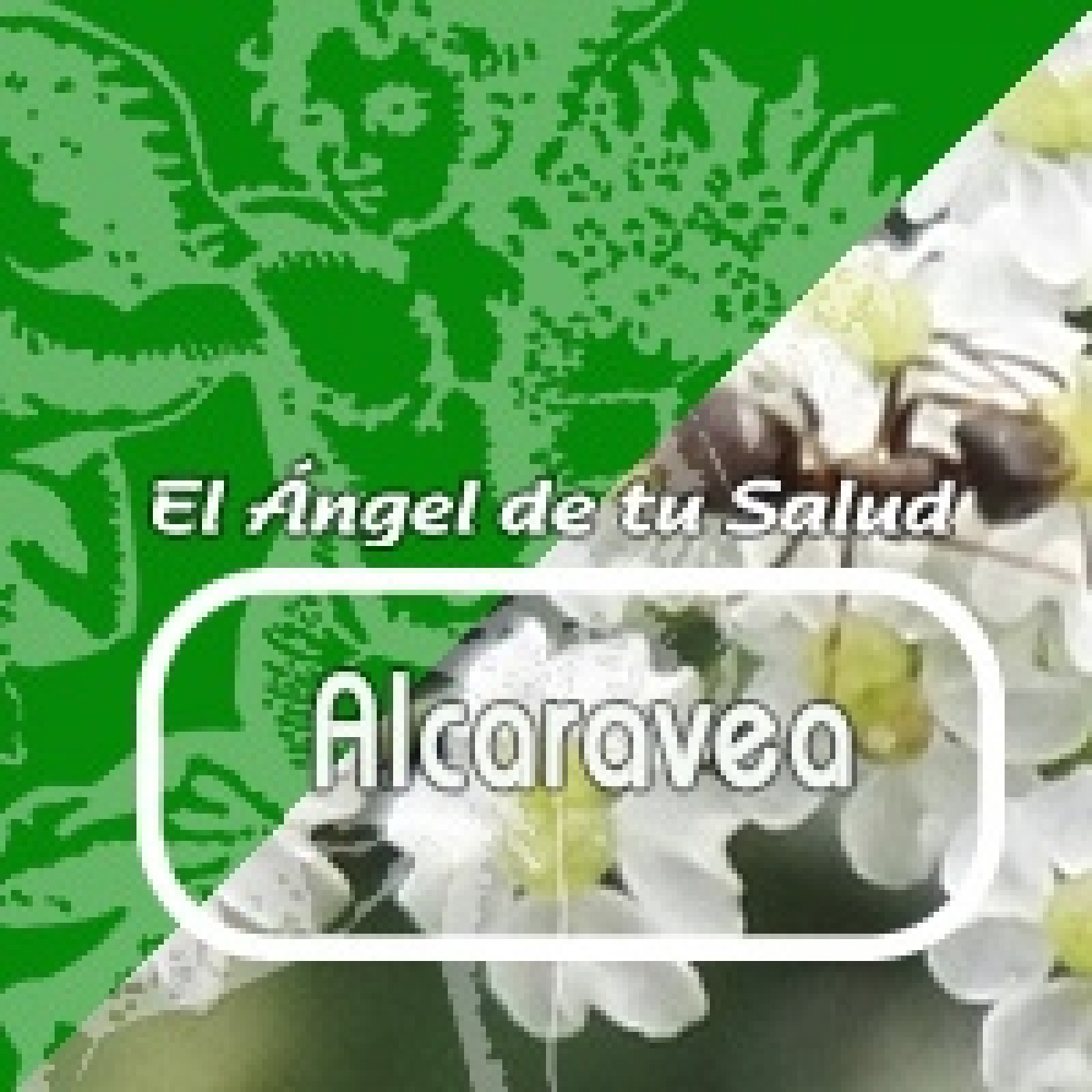 El Ángel de tu Salud - ALCARAVEA ***** episode artwork