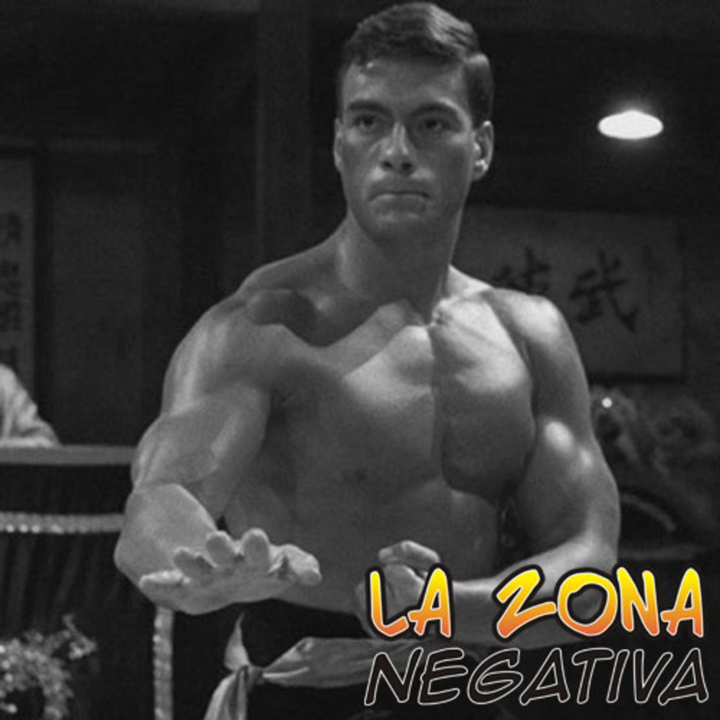 La ZonaNegativa