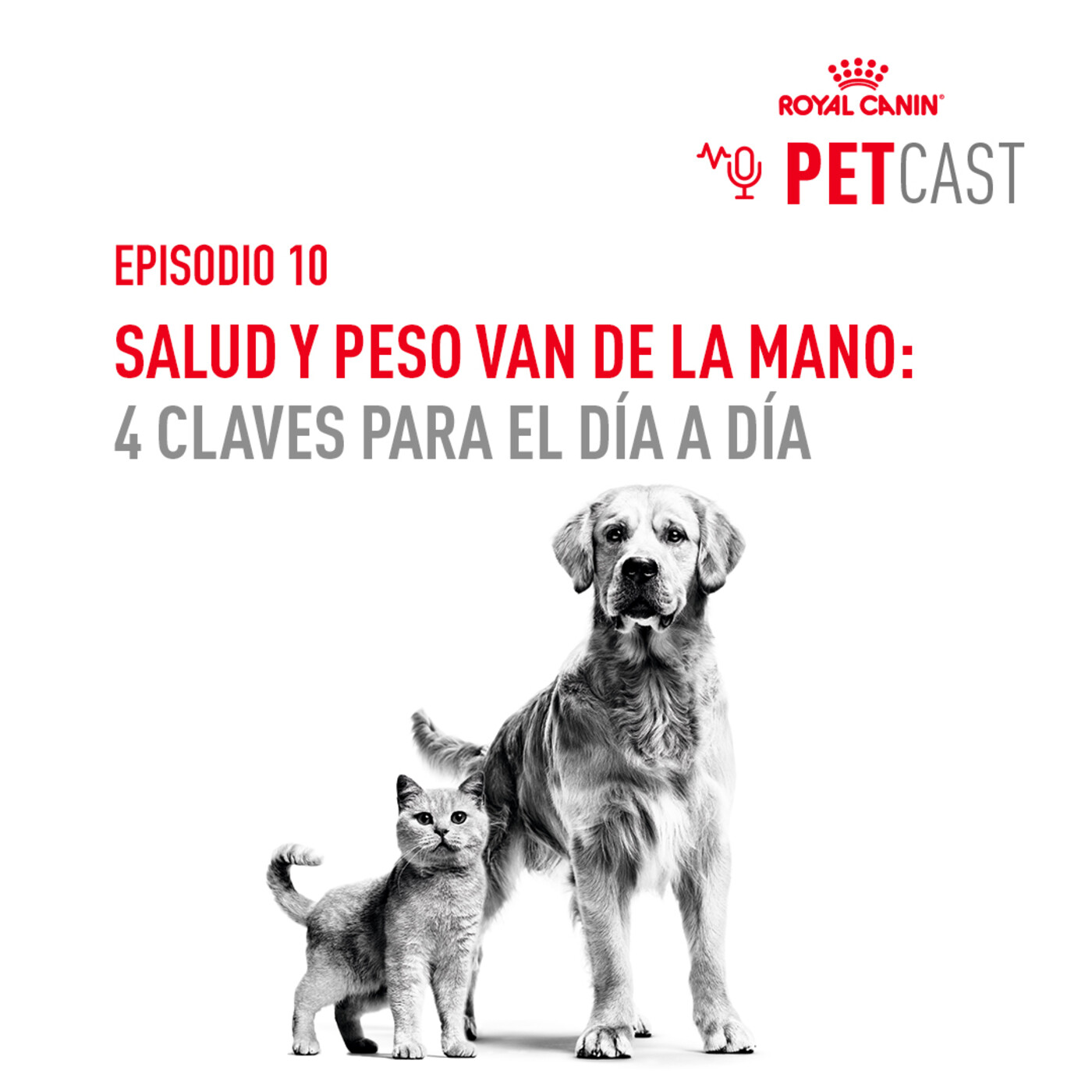 ROYAL CANIN PETCASTS ESPAÑA