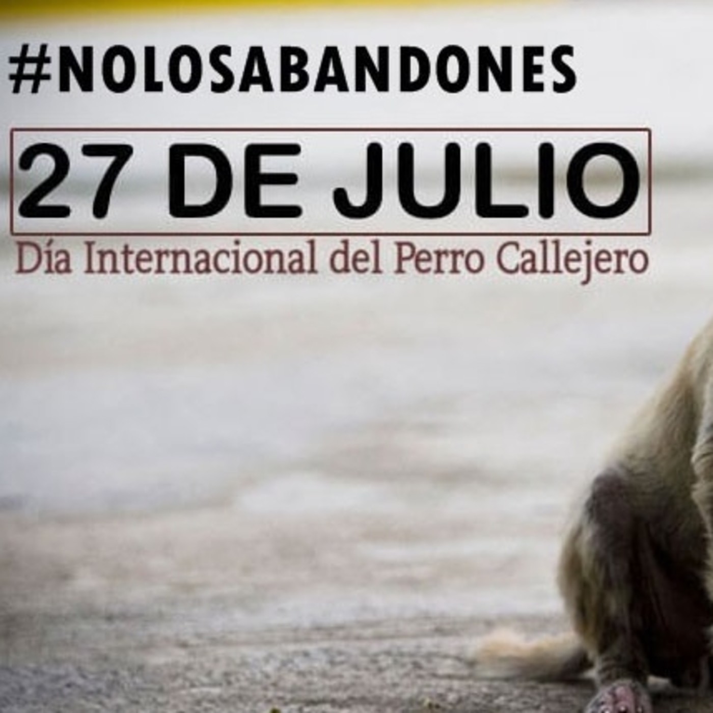 FECHAS ESPECIALES