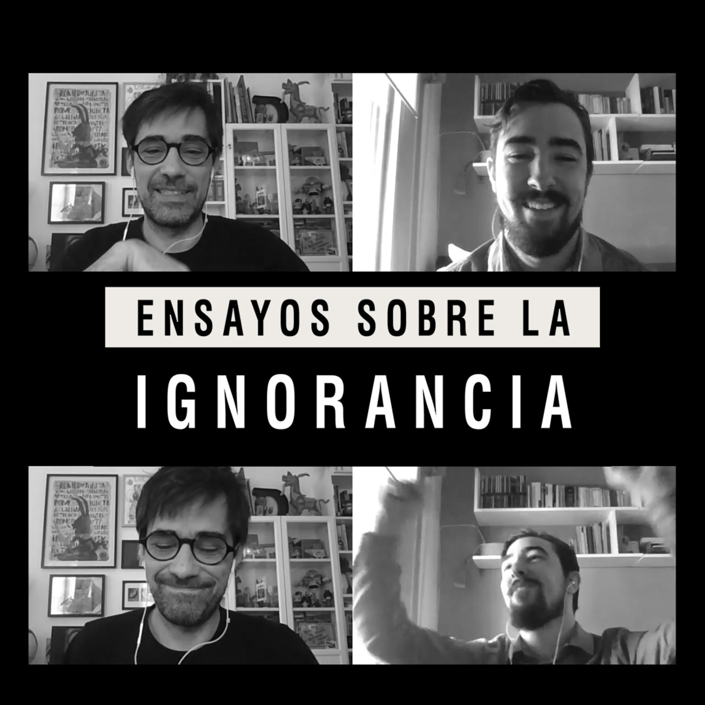 Ensayos sobre la ignorancia
