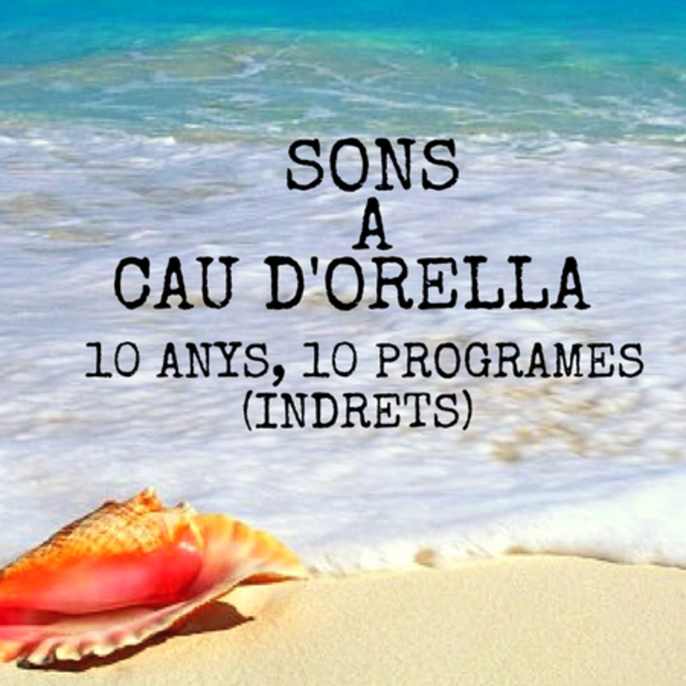 Sons A Cau-10 anys, 10 programes (IV)