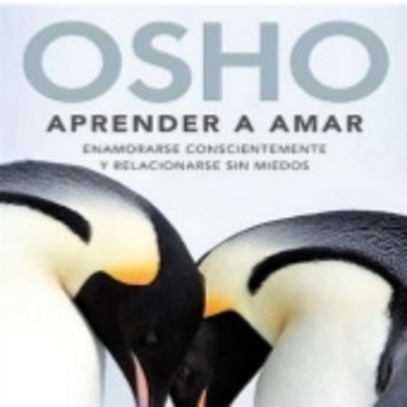 Aprender amar - el amor y el arte de no hacer - *audiolibro de osho* episode artwork