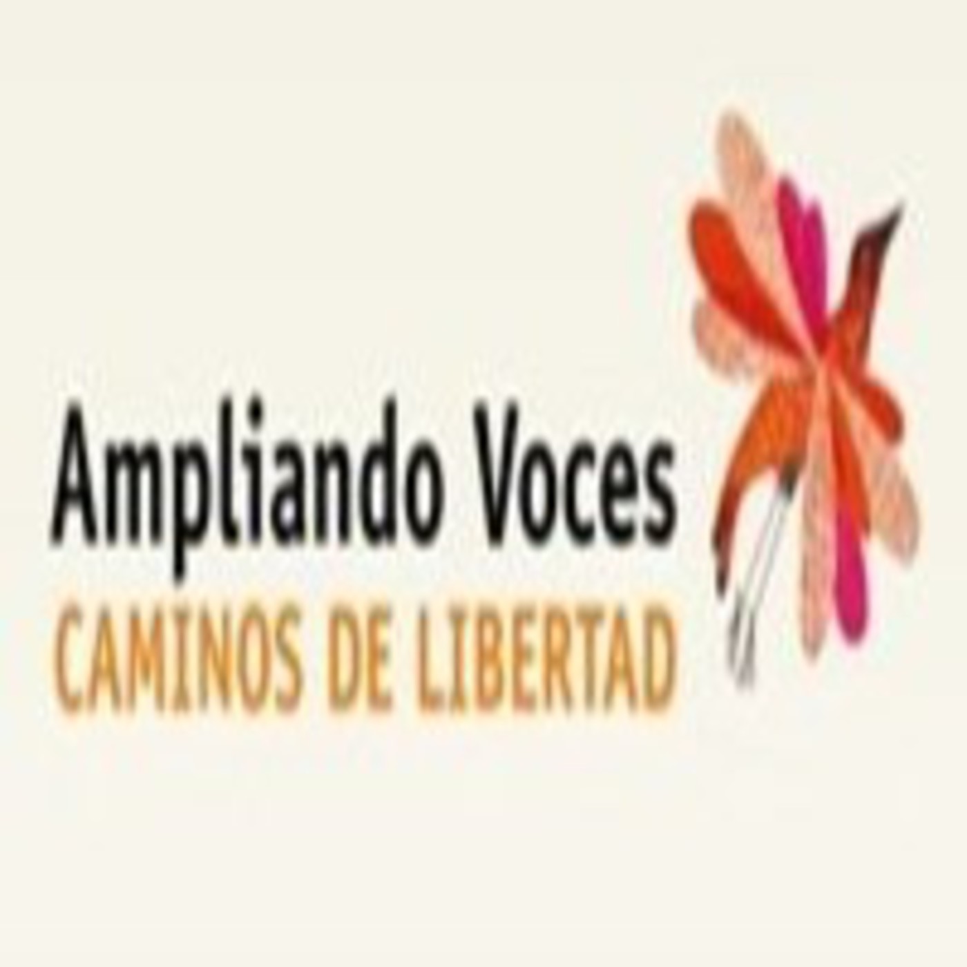 3 - Es necesario promover las iniciativas de la sociedad civil - Hugo Rangel - Ampliando Voces - Escucha aquí episode artwork