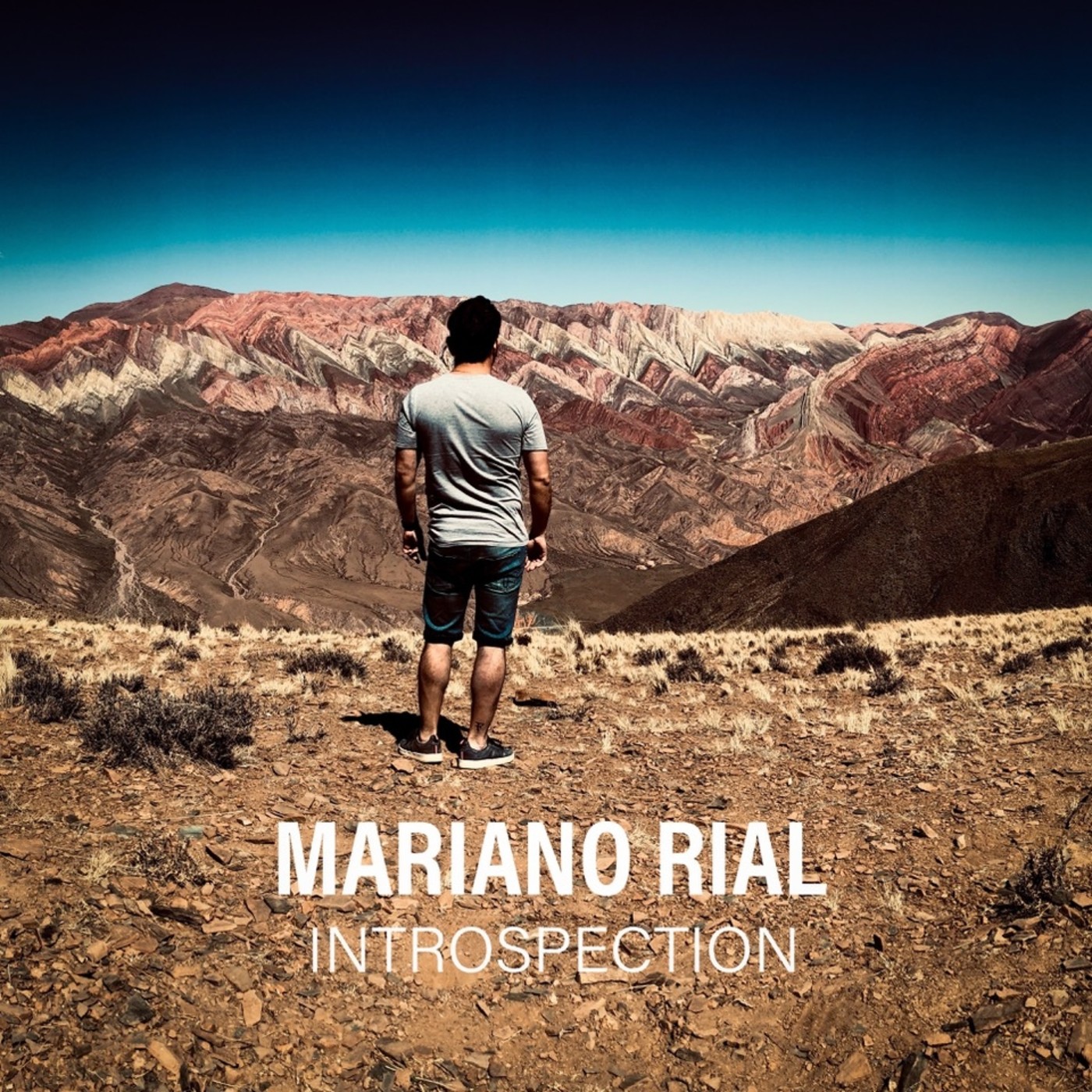 Introspection