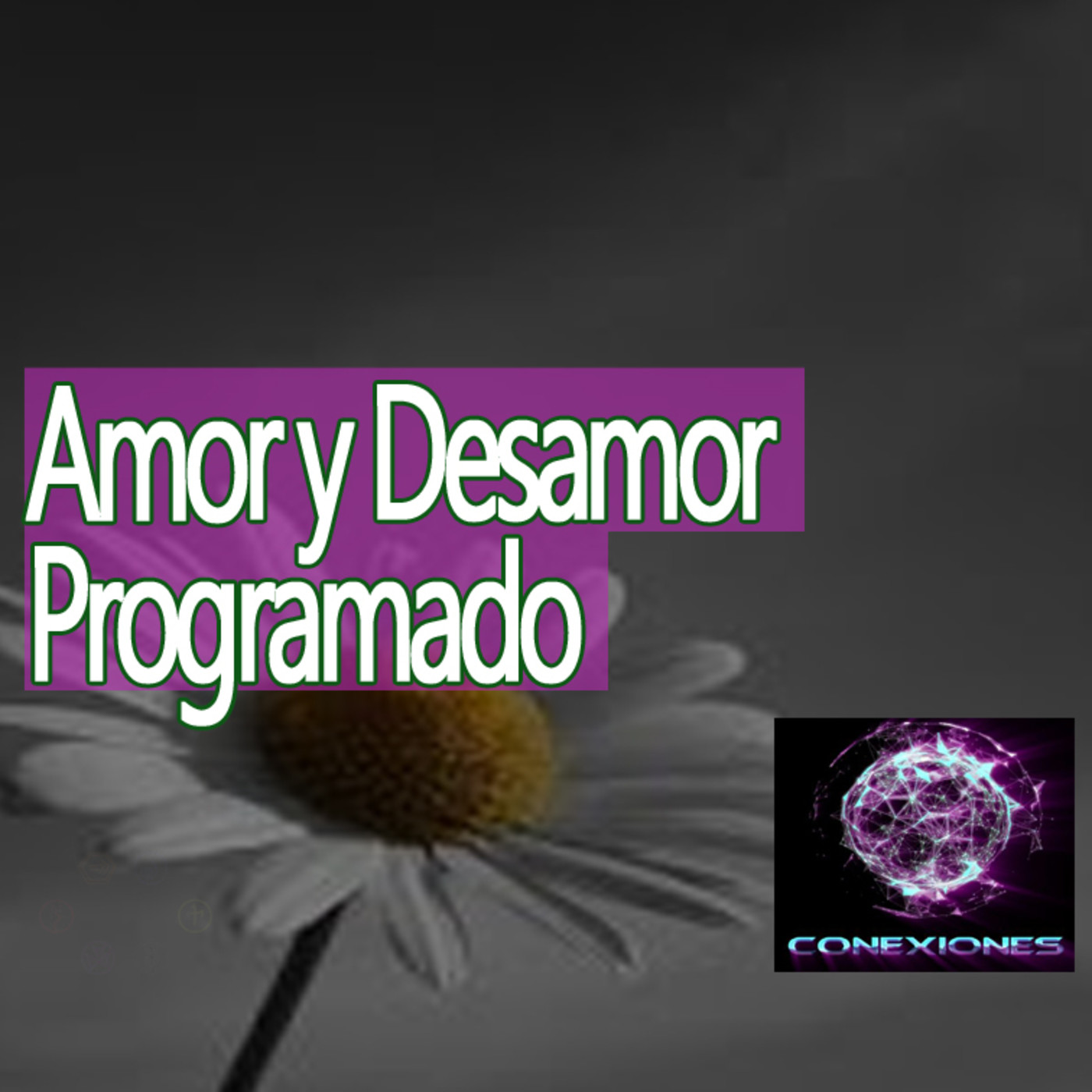 Conexiones Amor y Desamor Programático episode artwork