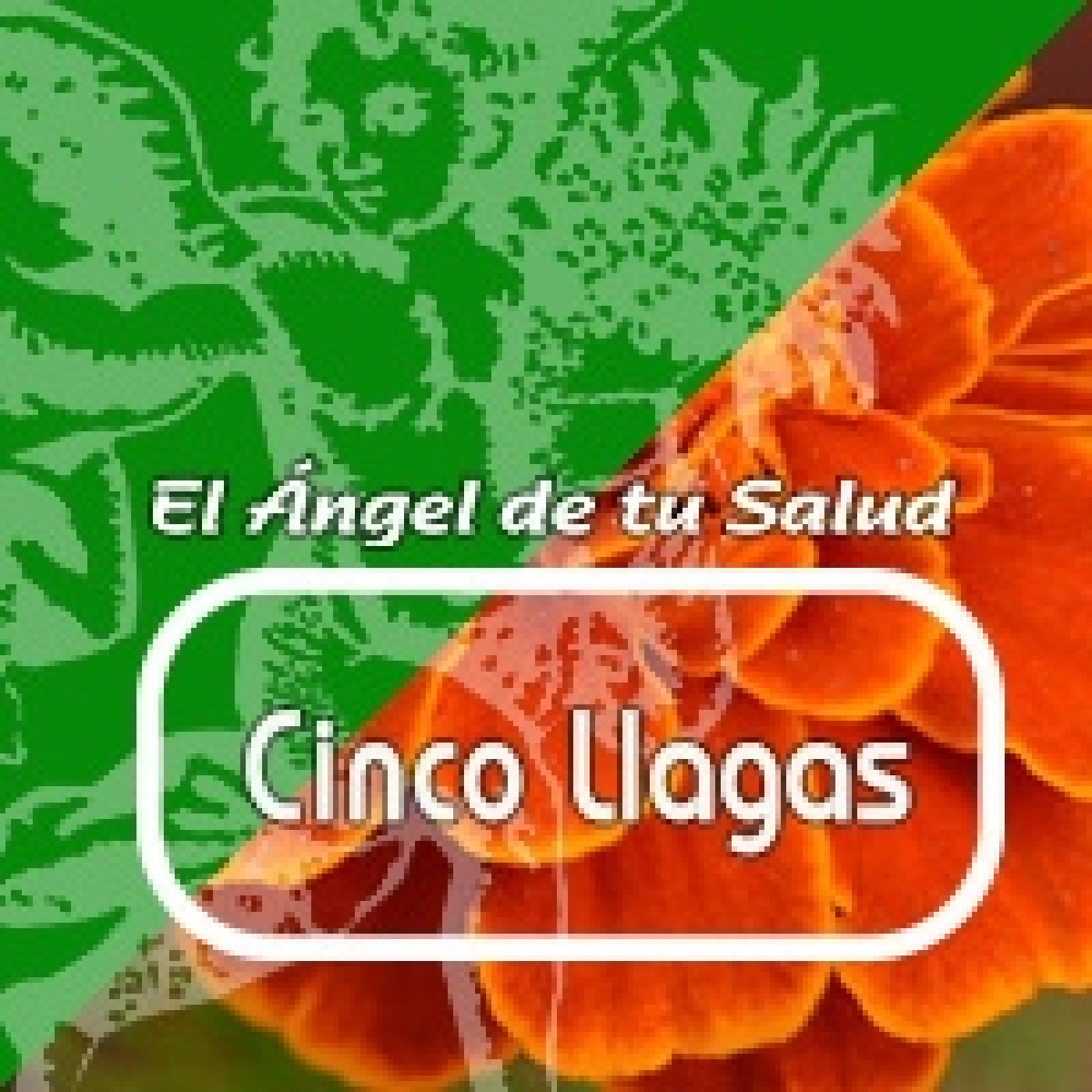 El Ángel de tu Salud - CINCO LLAGAS* episode artwork