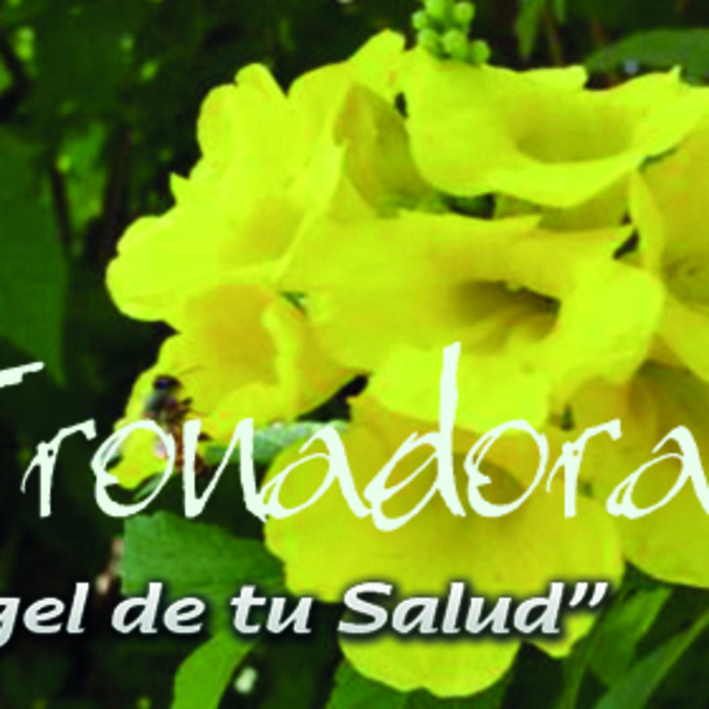 El Ángel de tu Salud - TRONADORA II episode artwork