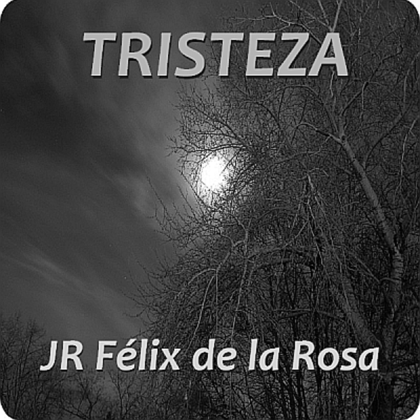 Audio Poemas de JR Félix de la Rosa
