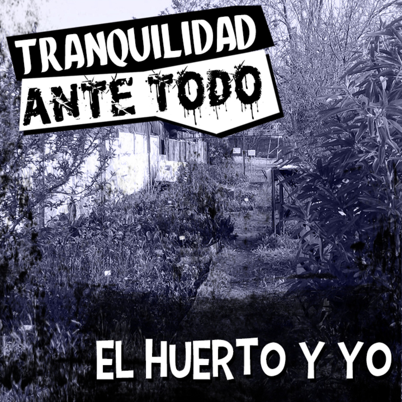 Tranquilidad Ante Todo