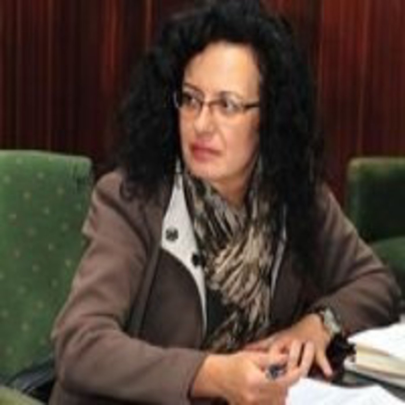 Nieves Rosa Arroyo destaca que no se ha producido ningún tipo de incidente en La Palma ante las lluvias anunciadas episode artwork