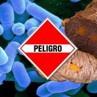 Voces del Misterio ESPECIAL: ¡PELIGRO! Virus de Cuarto Nivel / Entrevista 'Sevilla Horror Story'