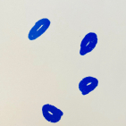 embed image