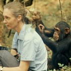 Contacto Tierra 49: Jane Goodall, inspiración para el mundo