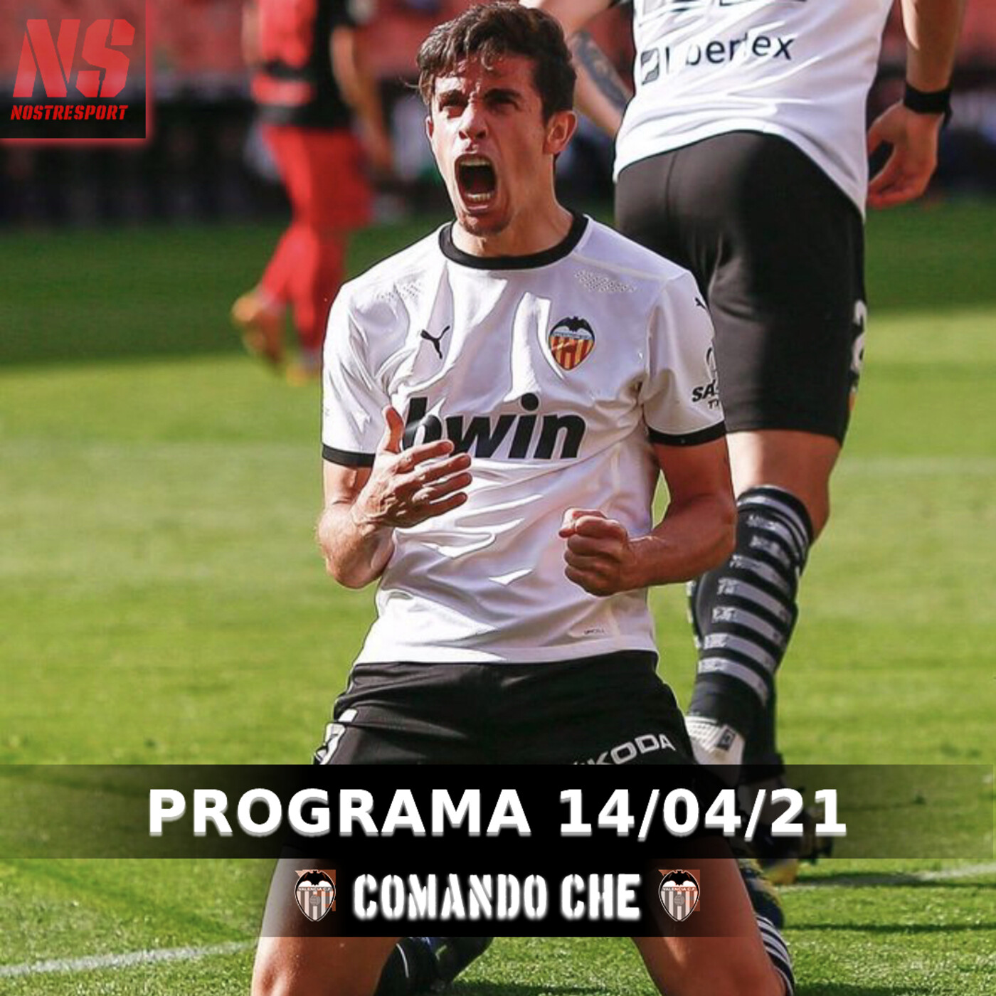 Comando Che