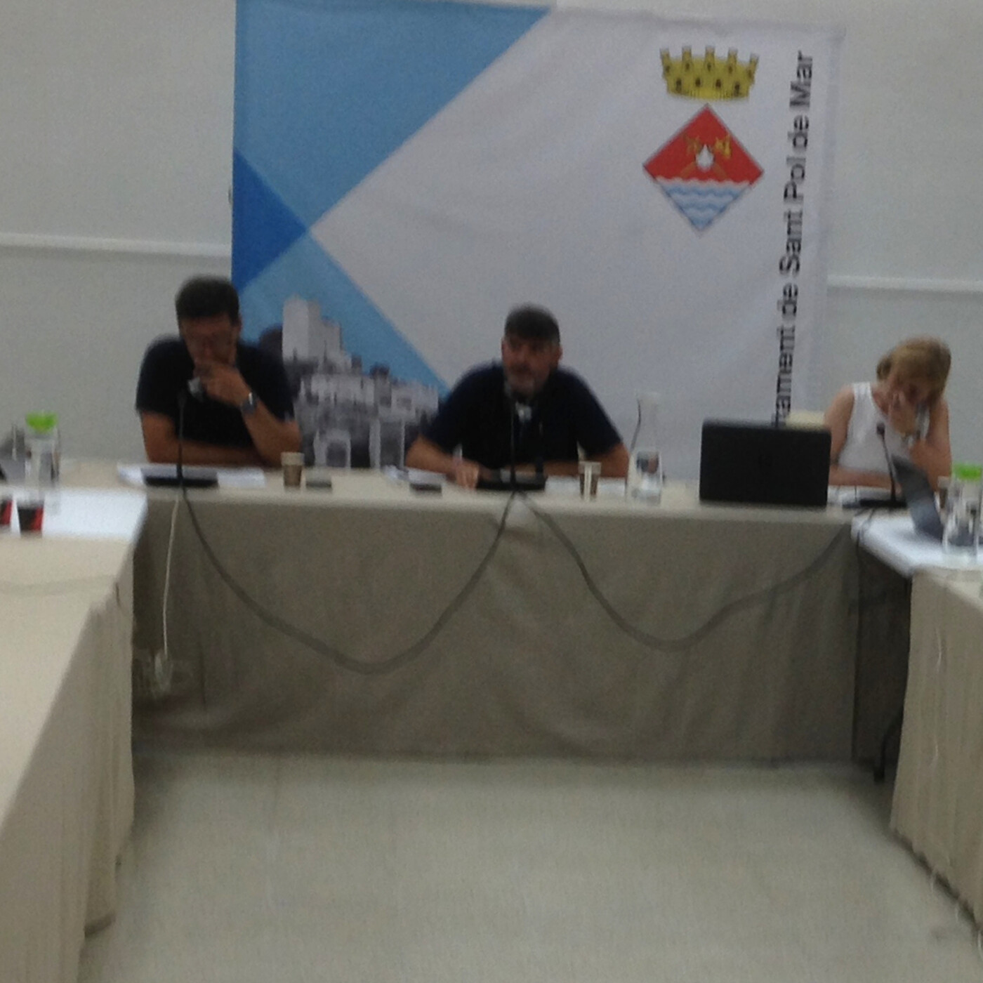 Plens municipals