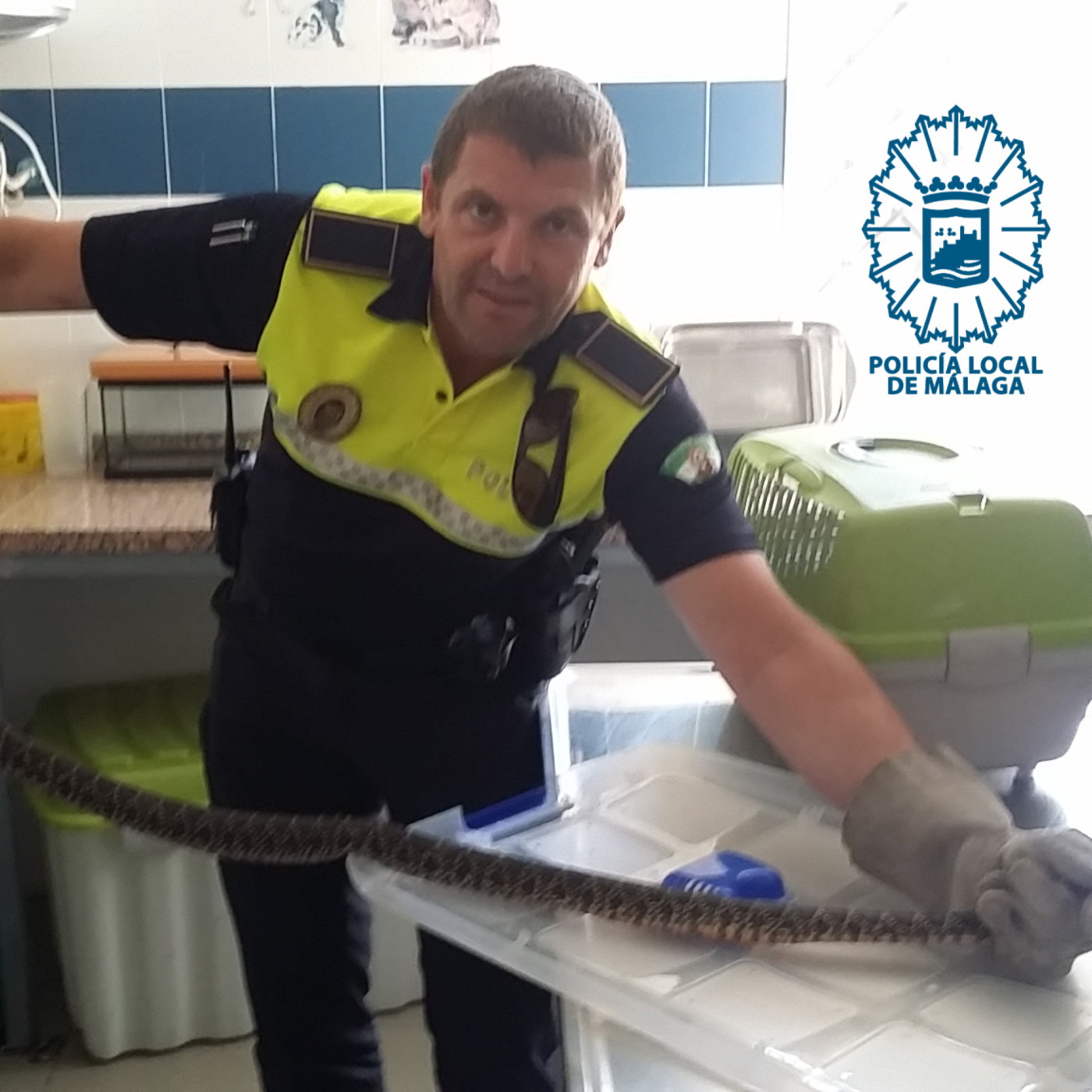 Audios Policía Local Málaga