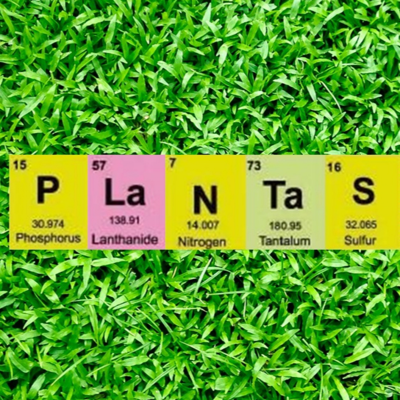 Podcast Fascinación por las plantas