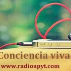 Musica moderna en bossa nova asi como la conexion con tus emociones