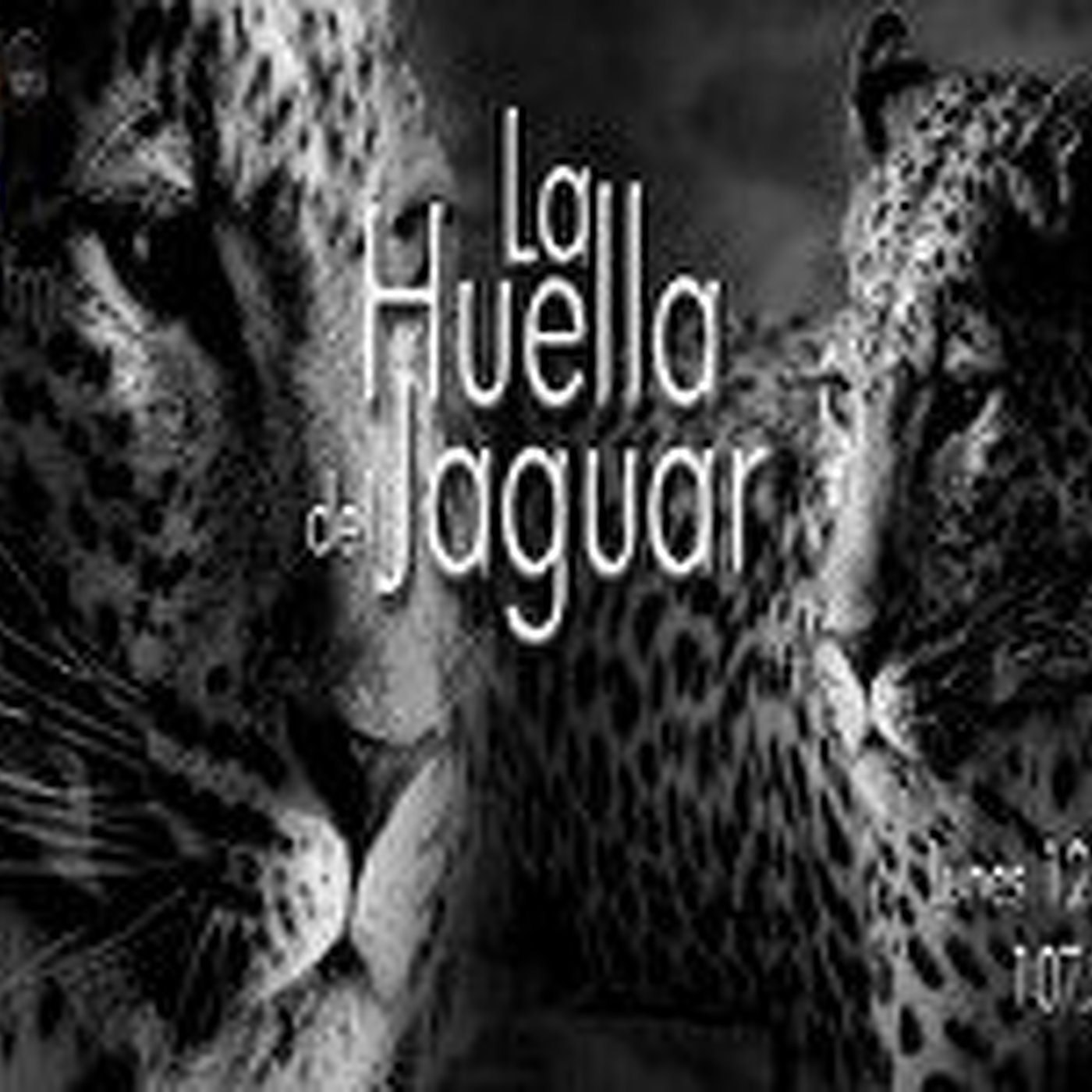 La huella del jaguar 05 noviembre 2014 episode artwork