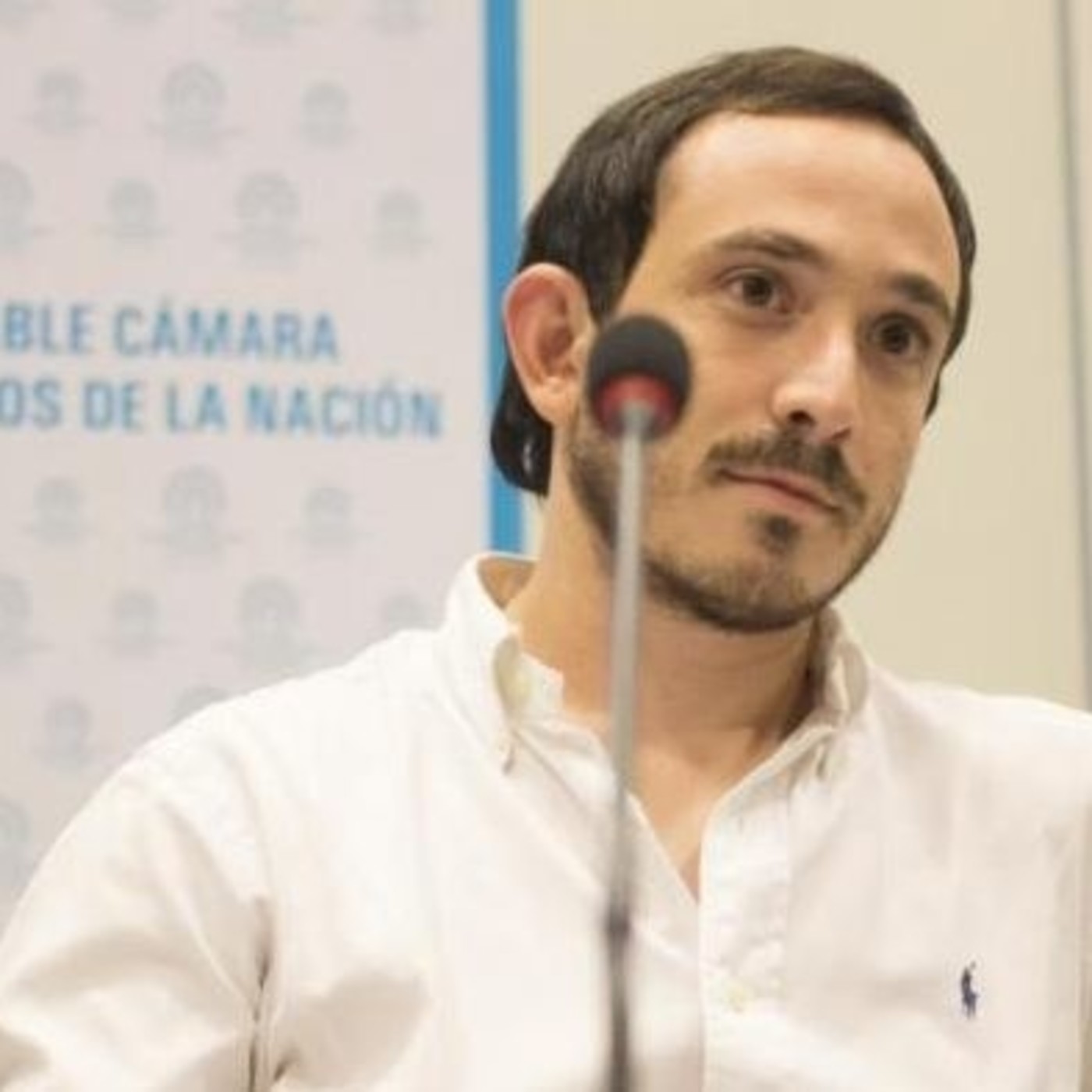 Dip. Nac. (PJ) Andrés Guzmán: juicio político a Oscar Aguad en "El Reino del Revés" episode artwork