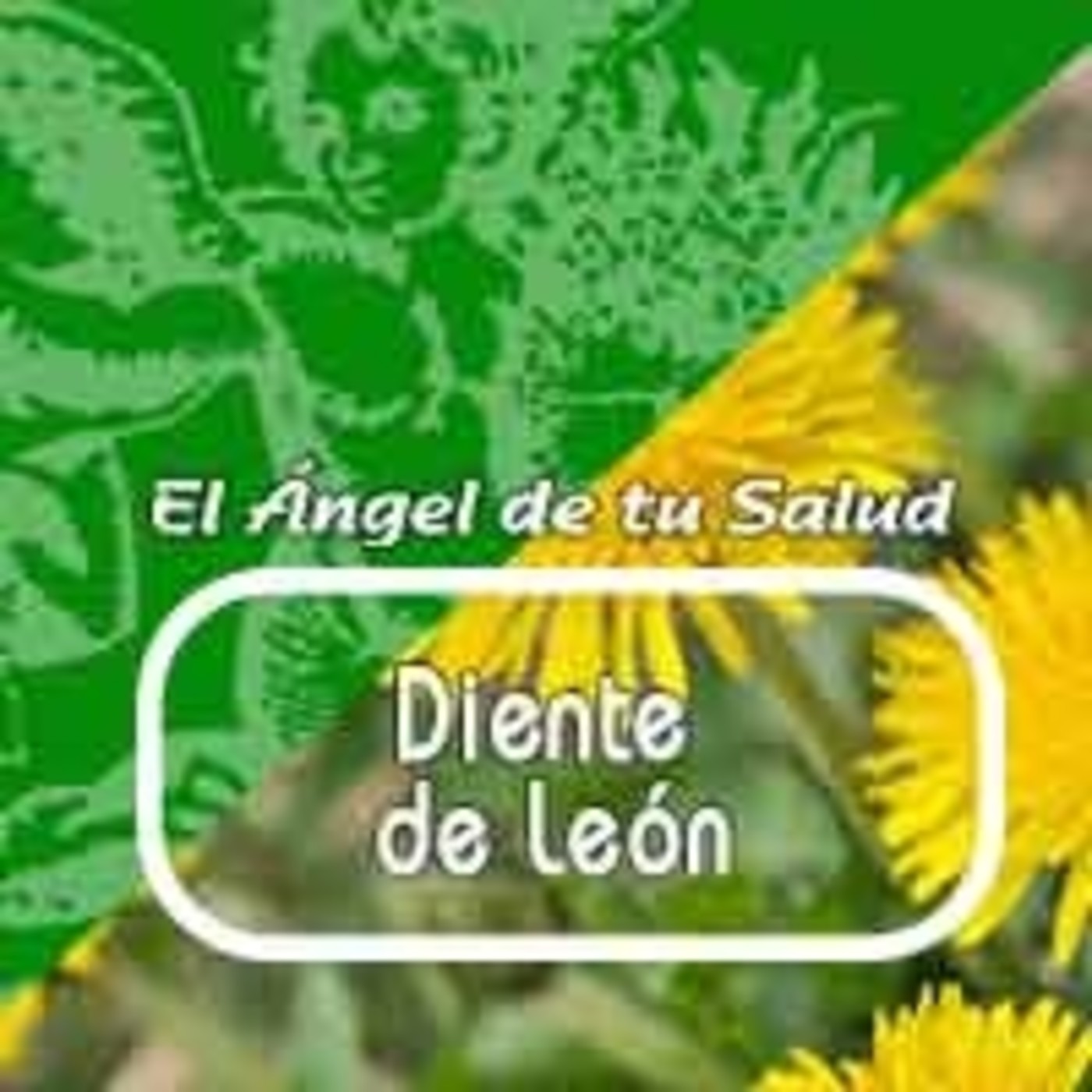 El Angel de tu Salud - DIENTE DE LEÓN****