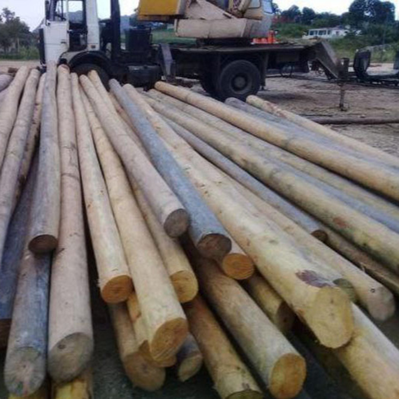 Labora por metas productivas colectivo de planta de impregnación de postes de la provincia
