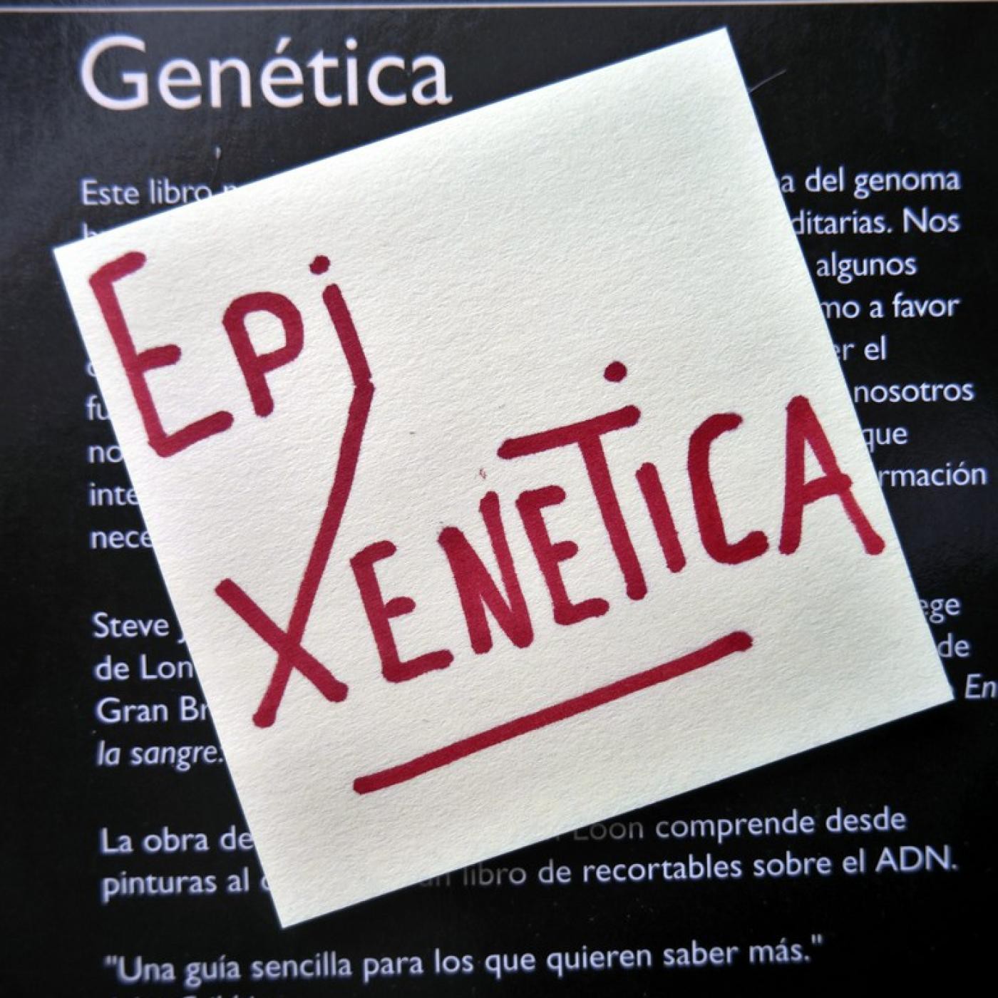 Efer 351 (17-4-16): Un post-it sobre o xenoma episode artwork