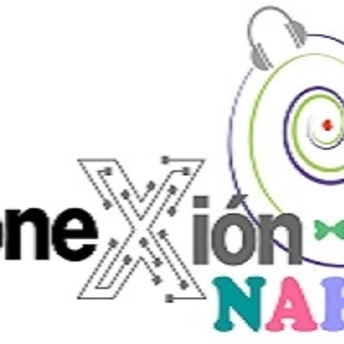 Conexion Nahi. 030620 P088