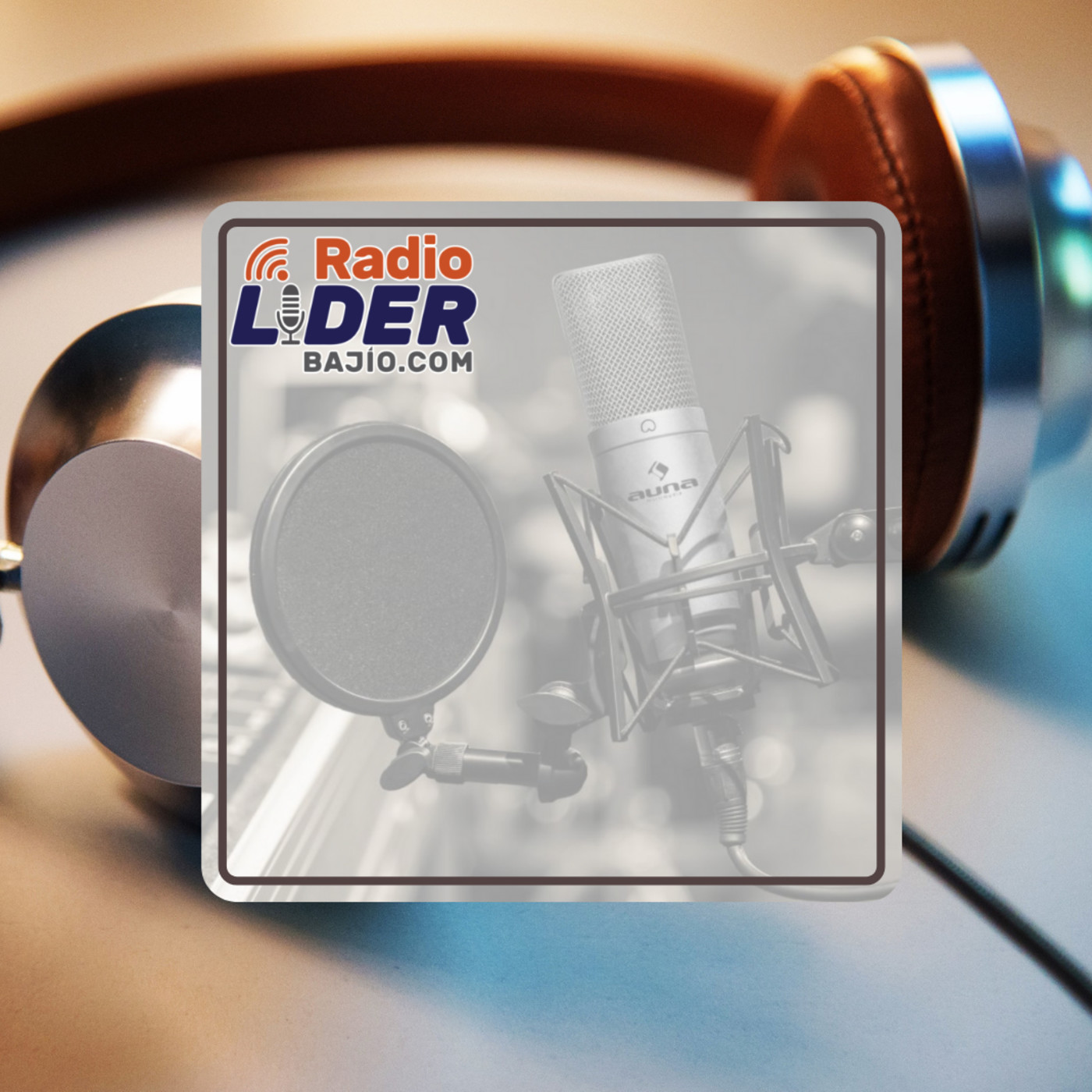 ENTRETENIMIENTO RADIO LÍDER BAJÍO