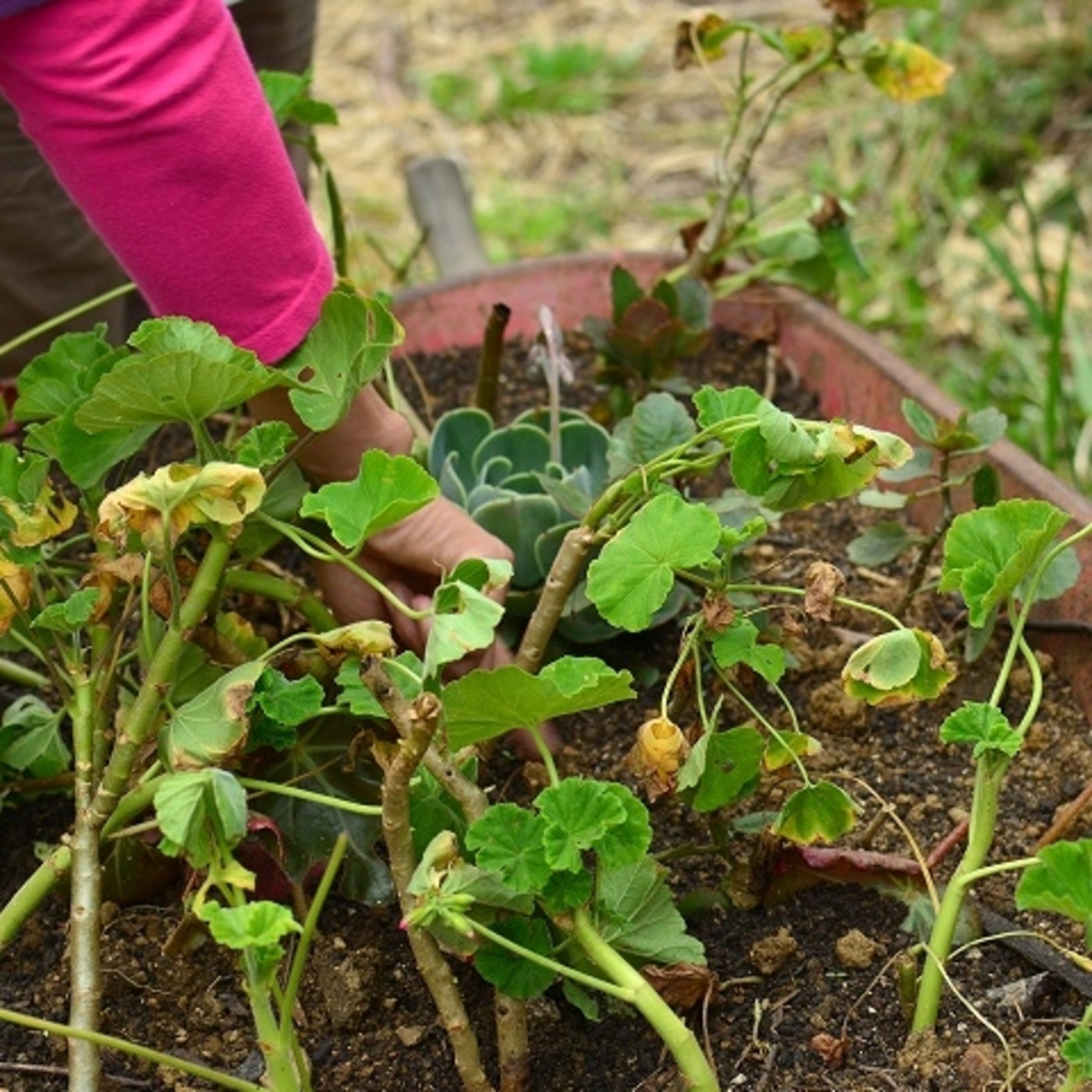 Serie: Pequeñas acciones, grandes protagonistas