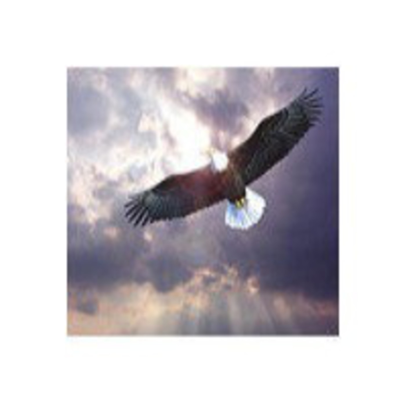 EL MISTERIO DEL AGUILA EN LA MITAD DEL CIELO