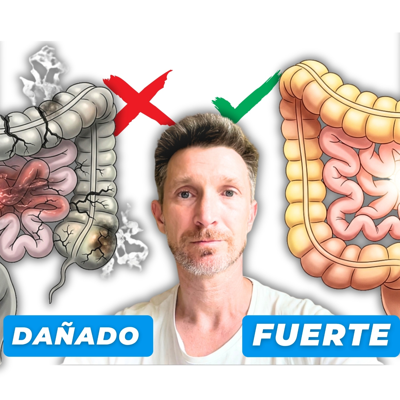 La CAUSA oculta de tus PROBLEMAS DIGESTIVOS