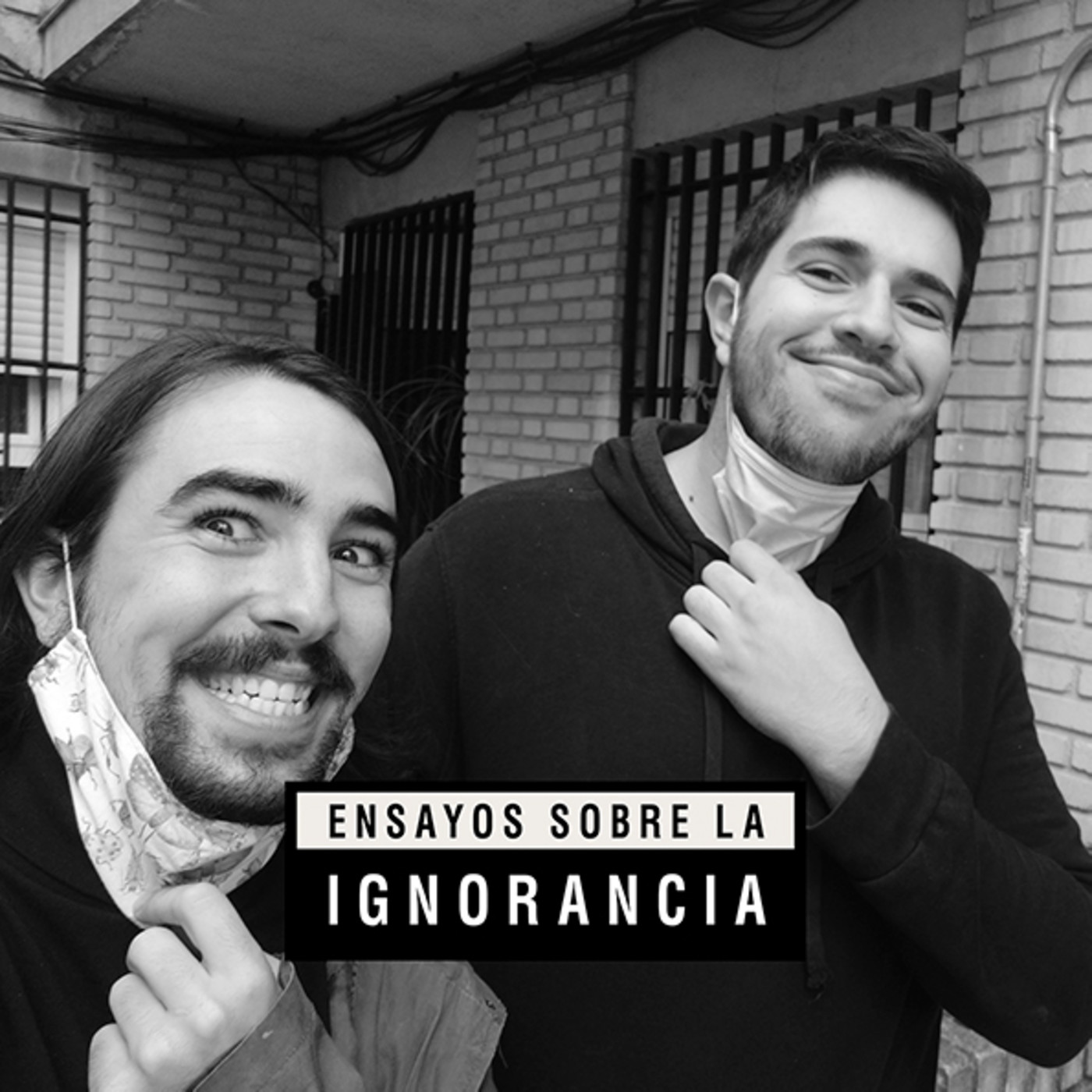 Ensayos sobre la ignorancia