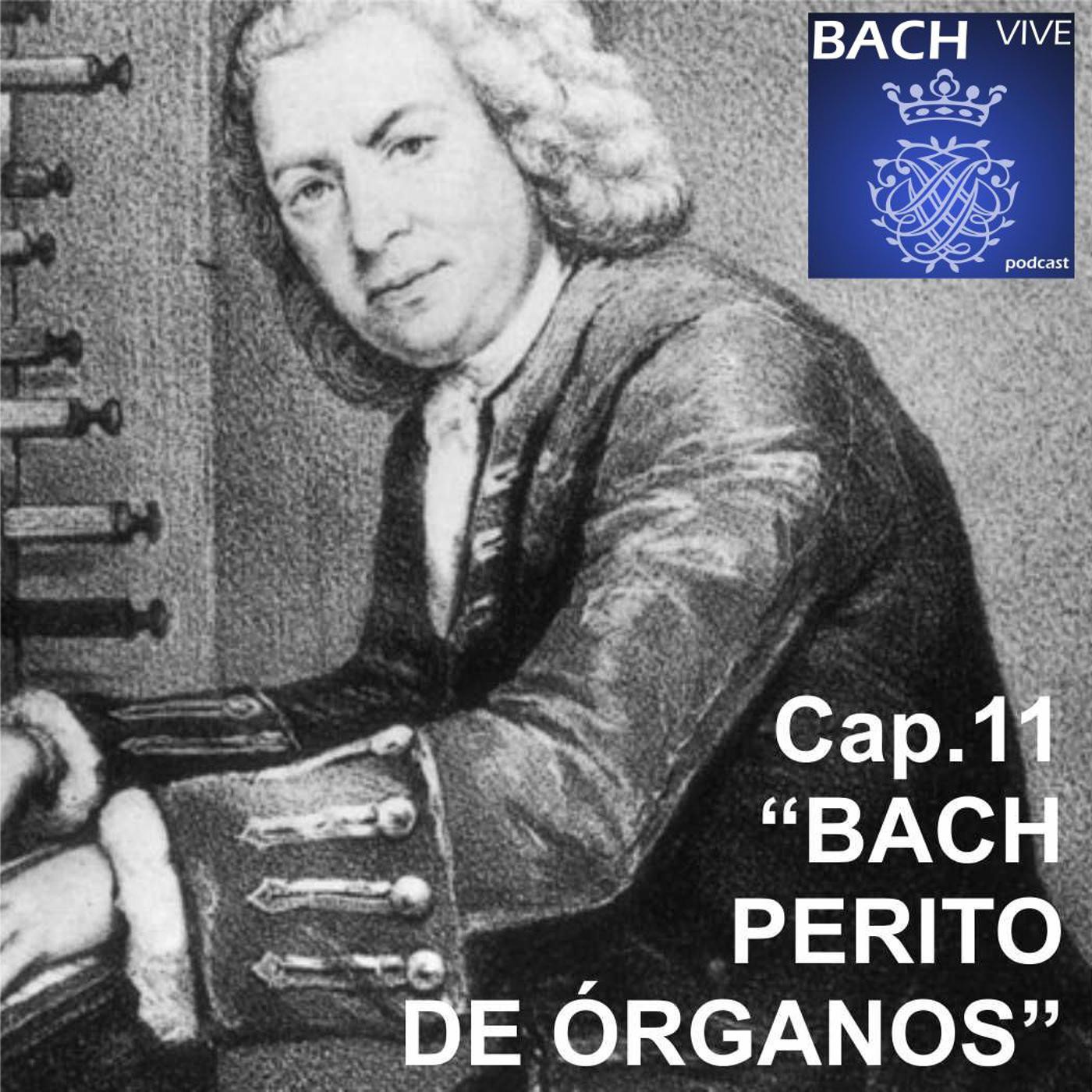 BACH vive