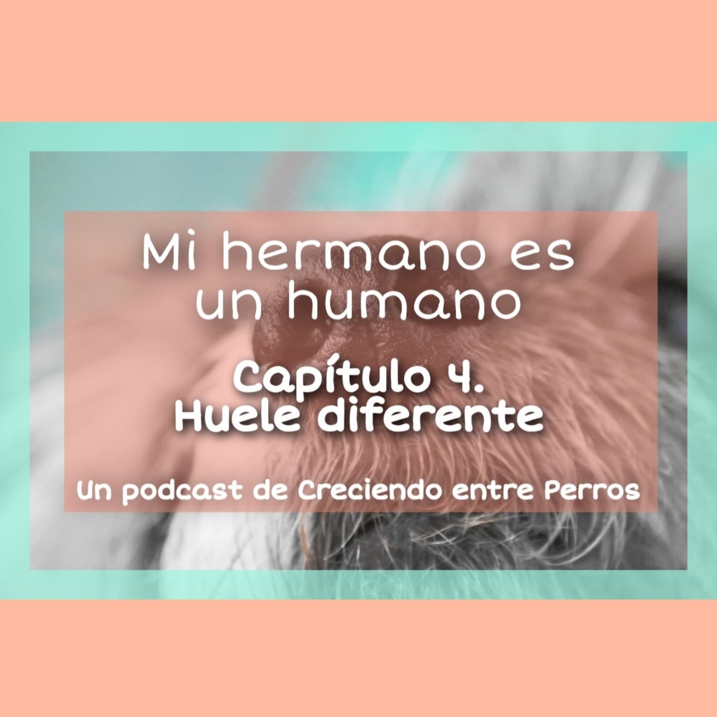 Mi hermano es un humano