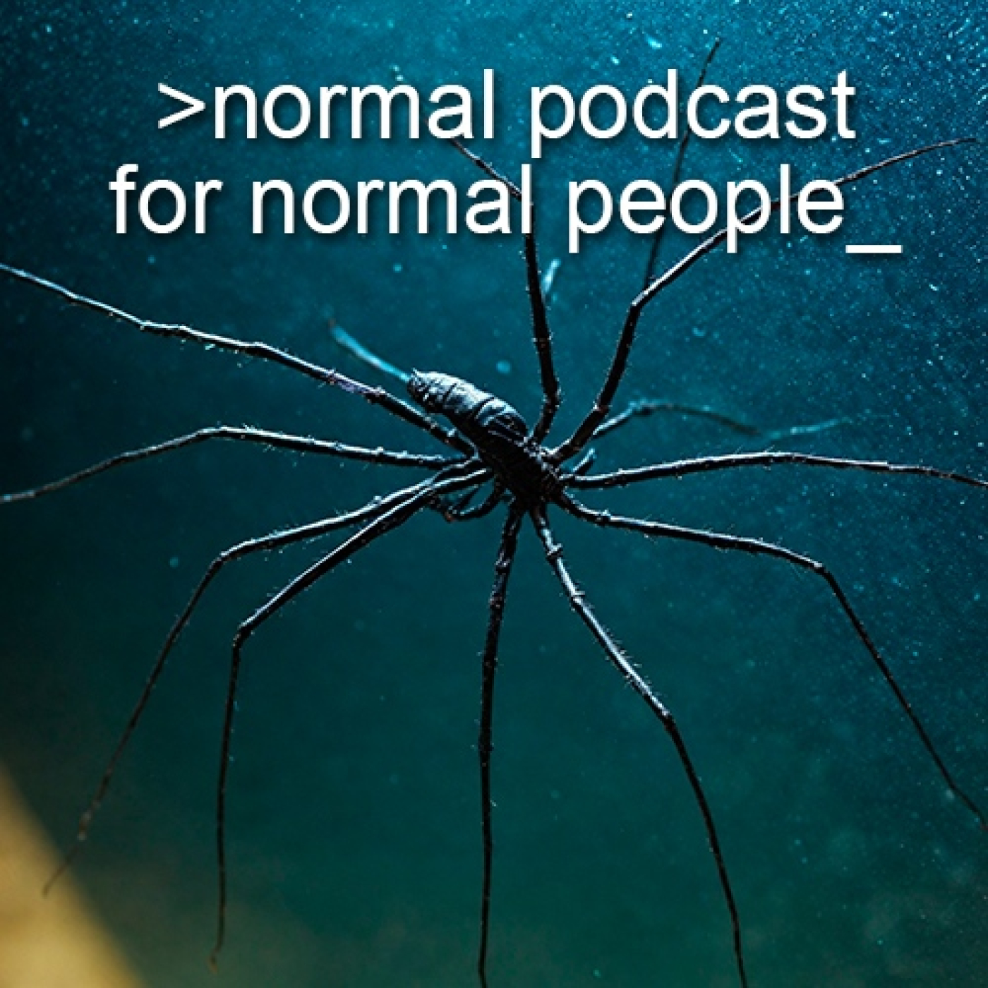Normal Podcast for Normal People